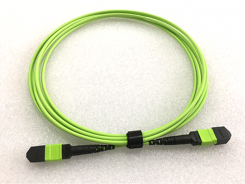 高密度MTP-MTP干线接线电缆12 24芯OM5 LSZH 3m，用于数据中心布线