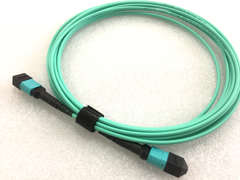 卓越的MPO-MPO光纤跳线12芯，用于数据中心安装OM3 OM4 LSZH 2m